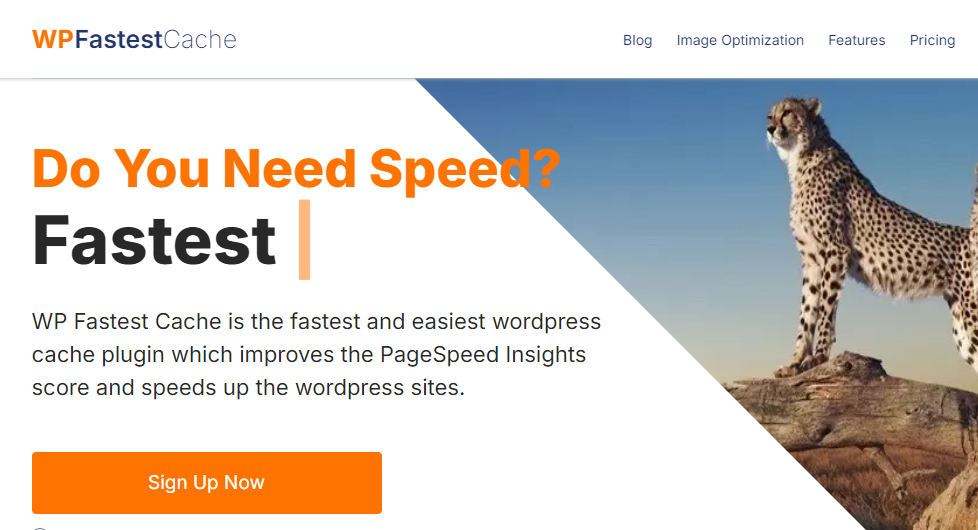 WP Fastest Cache plugin for caching and website performance enhancement