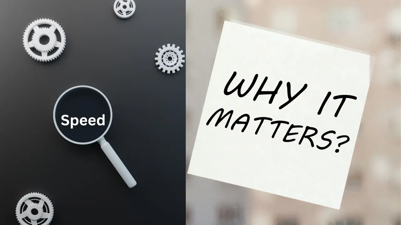 WordPress optimization